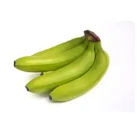 Cavendish Banana